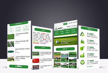 移動(dòng)端網(wǎng)站建設案例-威騰草坪